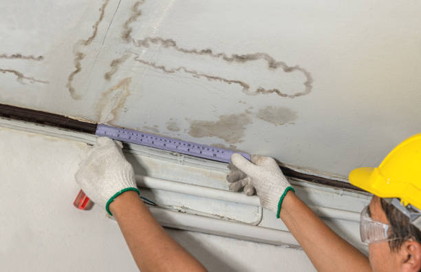 Reliable Water Damage contractor in Nolanville, TX by Water Damage Irwin